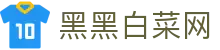 黑黑白菜网_黑黑白菜作业网_最新网址导航